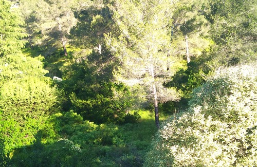 Carnoux-en-Provence Apartment | AIR-CONDITIONED APARTMENT FOR 6 PERSONNE VIEW OF THE PINES