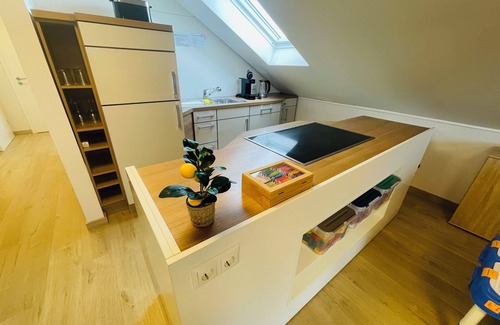 Sinzenich Apartment | Air-conditioned Holiday Apartment near the Lake