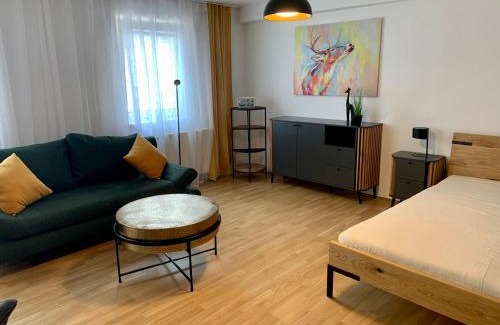 Sankt Polten Apartment | Air-conditioned, quiet apartment with a terrace in center of St Pölten - Smart TV