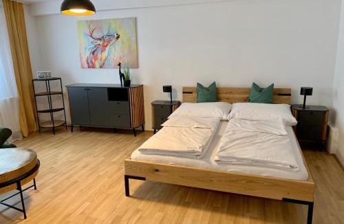 Sankt Polten Apartment | Air-conditioned, quiet apartment with a terrace in center of St Pölten - Smart TV