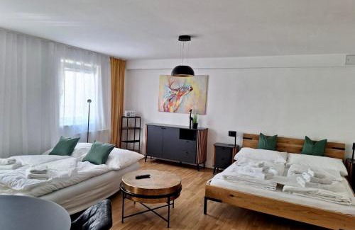 Sankt Polten Apartment | Air-conditioned, quiet apartment with a terrace in center of St Pölten - Smart TV