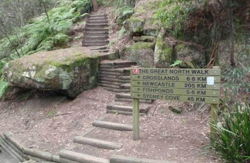 Beecroft House | Aircabin - Beecroft - Sydney - 3 Bed Holiday House