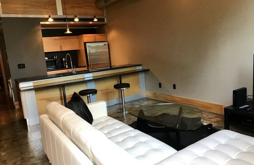 Rosewood House | Airplane Hangar Turned Lofts! Featured twice on HGTV! Walk to USC Stadium