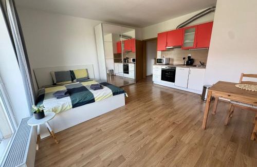 Hostivice Apartment | Airport Apartman Víšek