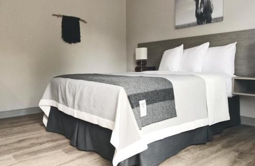 Hailey Hotel | Airport Inn