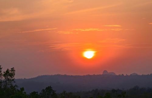 Ajodhya House | Ajodhya Jungle Resort