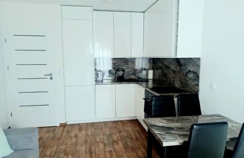 West Pomeranian Voivodeship Apartment | AJP Apartament Szczecin Dąbie