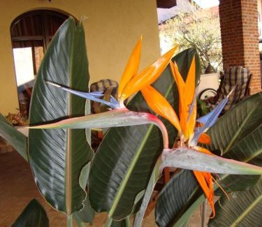 Sommariva del Bosco Bed & Breakfast | Al Calar Della Sera
