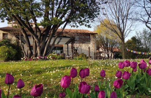 Mason Vicentino Bed & Breakfast | Al Cantico
