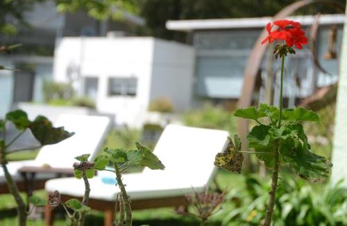 Nueva Palmira Hotel | Al Natural Posada