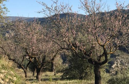 Margarida House | al-qandil