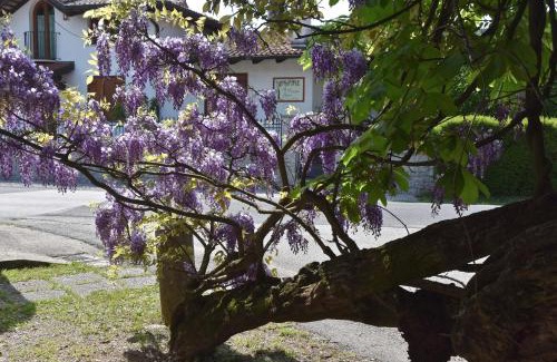 Savogna d'Isonzo Bed & Breakfast | Al Vecchio Glicine