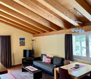 St. Moritz Apartment | Aladin Apartments St Moritz