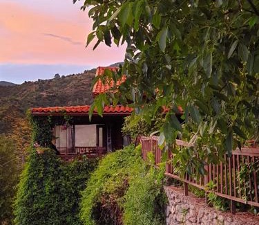 Alagonia Ski Chalet | Alagonia Country Homes