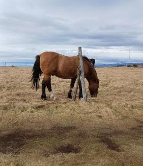 Province of Tierra del Fuego Apartment | Alakalufes Casa Familiar