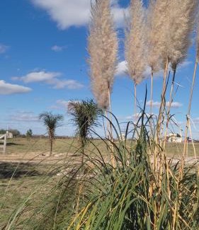 Entre Rios House | Alamos David