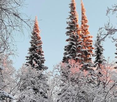 Kontiolahti House | Alapihan Arboretumin vierasmaja ja sauna