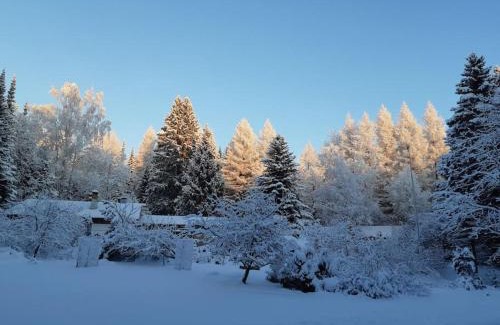 Kontiolahti House | Alapihan Arboretumin vierasmaja ja sauna