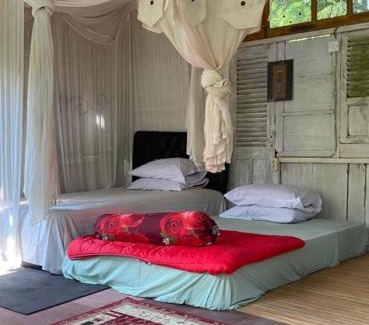 Banjartegehe House | Alas bangkuwang Dream