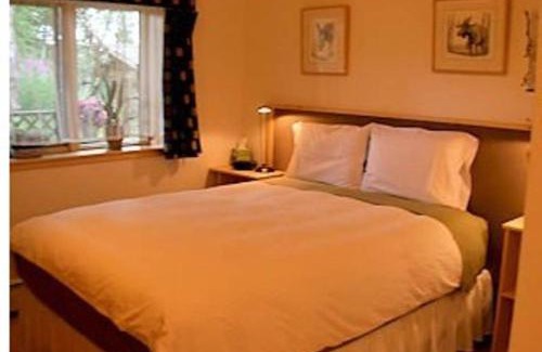 Eagle River Bed & Breakfast | Alaska Chalet Bed & Breakfast
