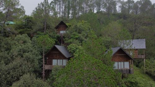 Kandaghat Villa | Alaya Stays Cottage with Tree House - Suro Woodbine Chalet