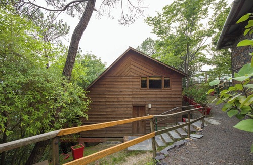 Kandaghat Ski Chalet | Alaya Stays Suro Woodcrest Chalet