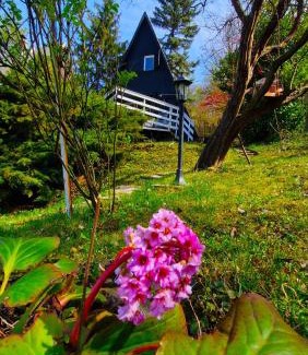 Szentendrei Cabin | Albatross