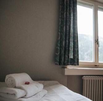 Cevio Hotel | Albergo Robiei