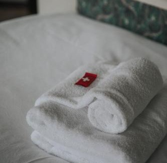 Cevio Hotel | Albergo Robiei