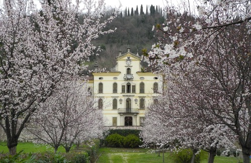 Vittorio Veneto Apartment | Alberto apartment