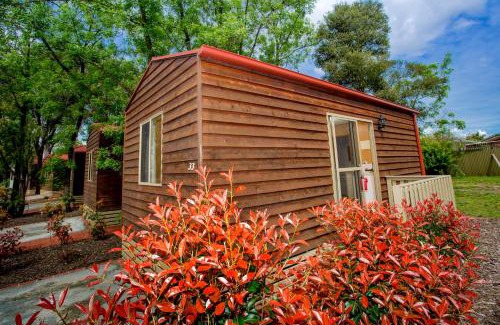 Lavington Resort | Albury Gardens Tourist Park