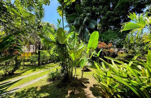 Cahuita Cabin | Alby Lodge Cahuita