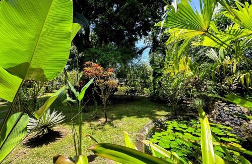 Cahuita Cabin | Alby Lodge Cahuita
