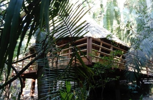 San Francisco Cabin | Aldea Bamboo Village