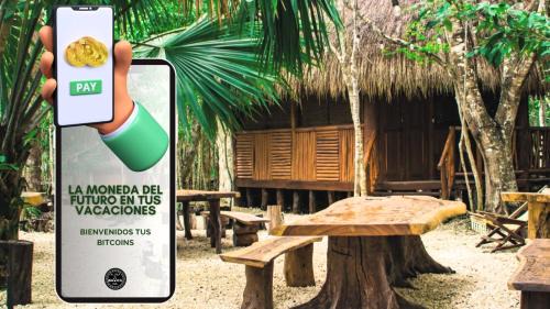 Puerto Morelos Other | Aldea Maya-Ha Cabañas con cenotes