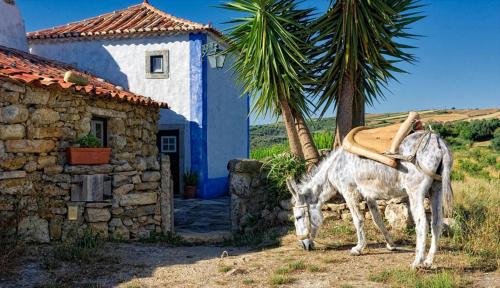 Aldeia da Mata Pequena Resort | Aldeia da Mata Pequena