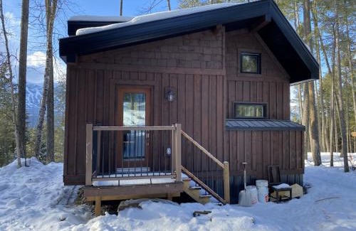 Golden House | Alder House