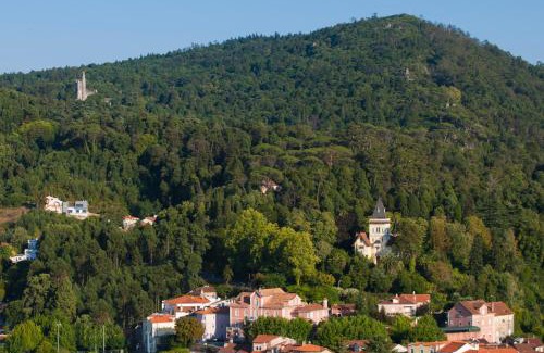 Luso Hotel | Alegre - Bussaco Boutique Hotel