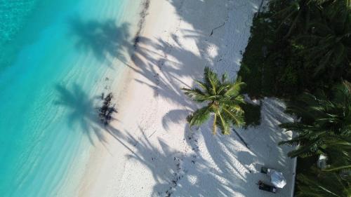 Sipura Island House | Alegria Katiet