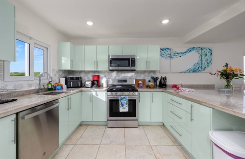 Arashi Villa | Alegria - Ocean View Villa