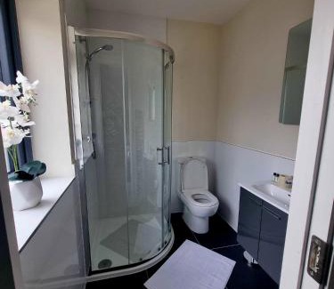 Leixlip Hotel | Alex Court