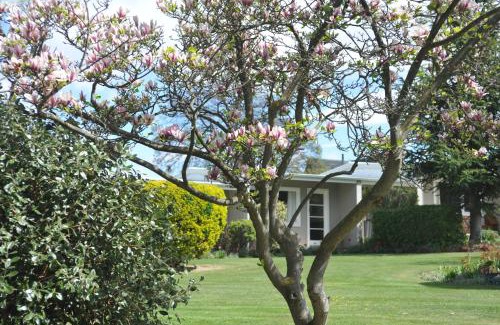 Alexandra Hotel | Alexandra Garden Court Motel