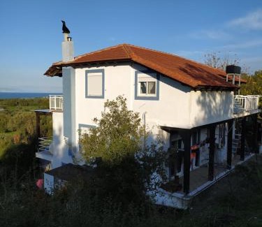 Kamiros Apartment | Alexandra Homestay
