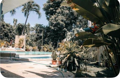 Danao House | Alf's Guesthouse