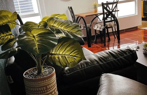 Doctores Apartment | Algarin-Roberto