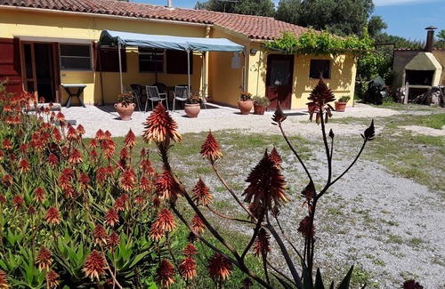 Tottubella House | Alghero Tottubella your holidays in Sardinia