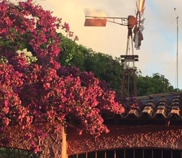 Maracana Hotel | Algodoal Bela Mar Pousada