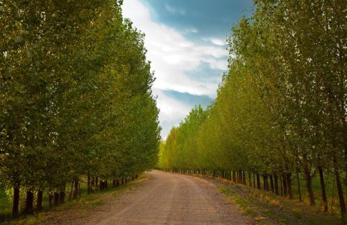 San Rafael Hotel | Algodon Wine Estates & Champions Club