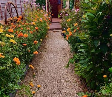 Fulford Other | Alice’s Garden @ Bleak House Farm