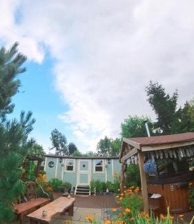 Fulford Other | Alice’s Garden @ Bleak House Farm